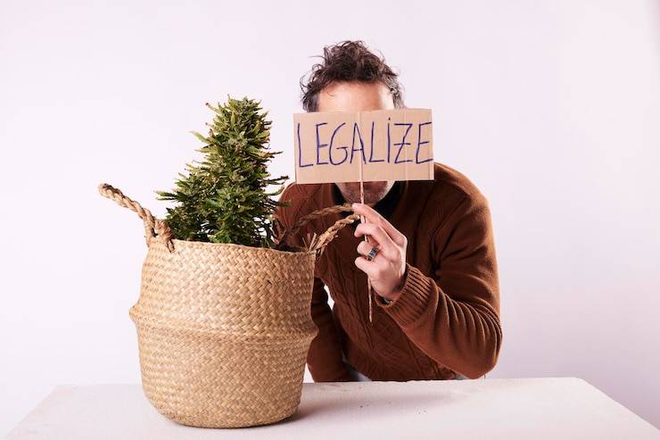 C‑level‑должности и их роли